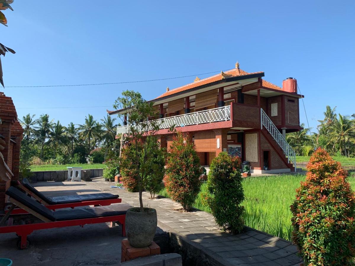 Soca House Otel Ubud Dış mekan fotoğraf